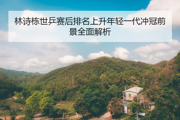 林诗栋世乒赛后排名上升年轻一代冲冠前景全面解析