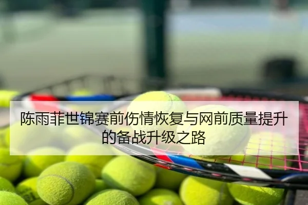 陈雨菲世锦赛前伤情恢复与网前质量提升的备战升级之路